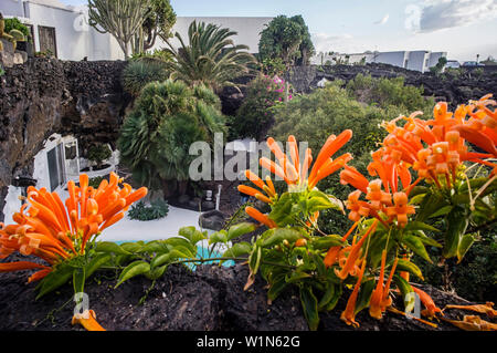 Casa Cesar Manrique, Musée de la Fondation Manrique, Jardin, Lanzarote, îles Canaries, Espagne Banque D'Images