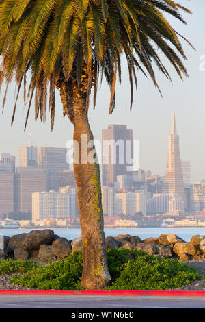 Avenue de la Palma, l'île au trésor, l'horizon de San Francisco, Californie, USA Banque D'Images