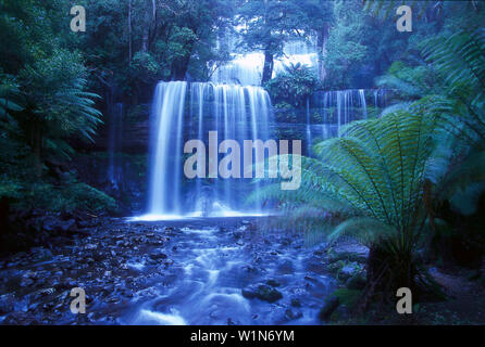 Russell Falls, Mount Field NP, Tasmanie Australie Banque D'Images