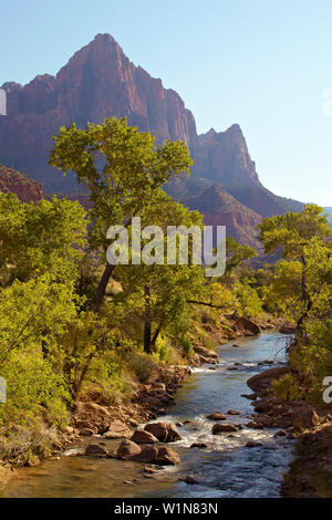 , Virgin River North Fork , Pa' rus Trail , Zion National Park , Utah , Arizona , Etats-Unis , Amérique Banque D'Images