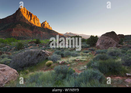 La Sentinelle, Zion National Park, Utah, USA Banque D'Images