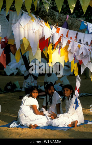 Fête de la Poya, temple Maha Bodi, Anuradhapura, North Central Provinz Sri Lanka Banque D'Images