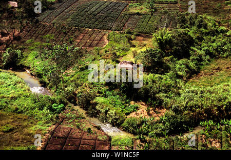 Mt Hagen - Eastern Highlands Papouasie Nouvelle Guinée - Mélanésie Banque D'Images