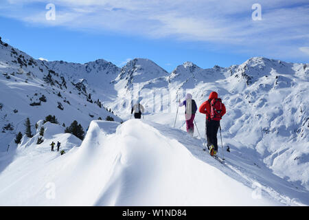Retour des skieurs de l'ordre croissant à l'Regenfeldjoch, Langer Grund, Alpes de Kitzbühel, Tyrol, Autriche Banque D'Images
