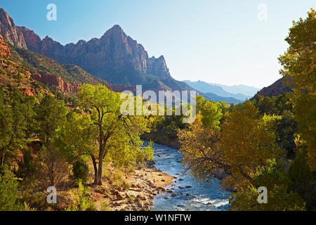 , Virgin River North Fork , Pa' rus Trail , Zion National Park , Utah , Arizona , Etats-Unis , Amérique Banque D'Images