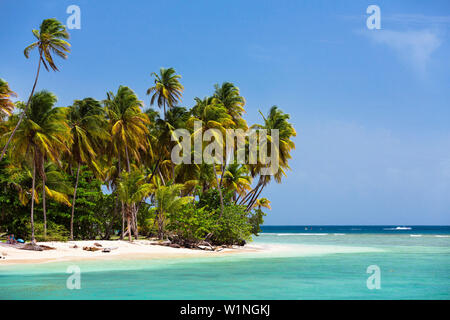 Plage de sable à Pigeon Point, Tobago, Antilles, Amérique du Sud Banque D'Images