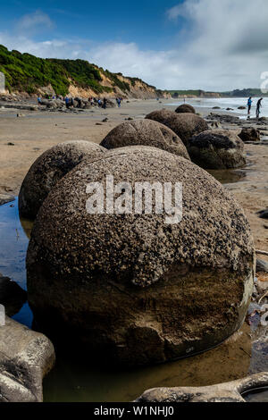 Les Moeraki Boulders, la Côte d'Otago, île du Sud, Nouvelle-Zélande Banque D'Images