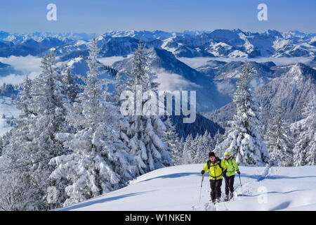 Deux personnes ski par winter forest vers Hochries, Mangfall éventail en arrière-plan, Hochries, Samerberg, Chiemgau, gamme C Banque D'Images