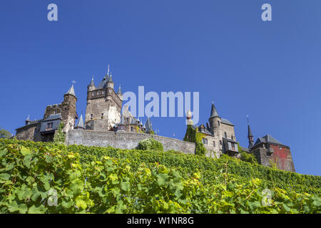 Château Reichsburg Cochem dans les vignes au-dessus de Cochem, Eifel, Rhénanie-Palatinat, Allemagne, Europe Banque D'Images