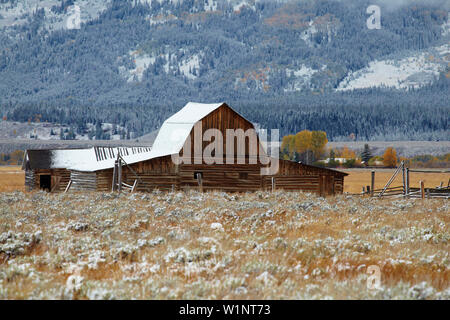 Grange dans la neige au début de l'Antilope Appartements , , Grand Teton National Park , Wyoming , Etats-Unis , Amérique Banque D'Images