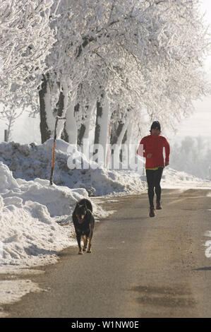 Homme jogger avec chien en hiver, Haute Autriche Banque D'Images