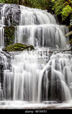 Purakaunui Falls, la Catlins, île du Sud, Nouvelle-Zélande Banque D'Images