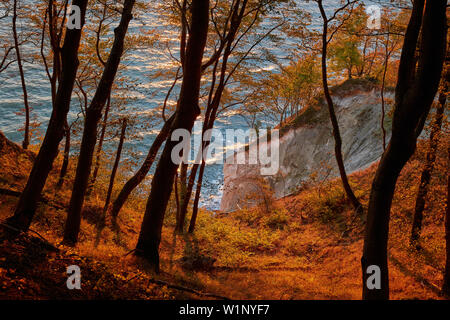 Falaises de craie à Wissower Klinken au lever du soleil, le parc national de Jasmund, Rügen, Mecklembourg-Poméranie-Occidentale, Allemagne Banque D'Images