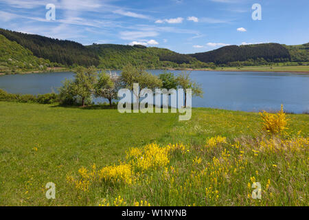 À Meerfelder Maar, Eifel Vulkaneifel, Rhénanie-Palatinat, Allemagne Banque D'Images