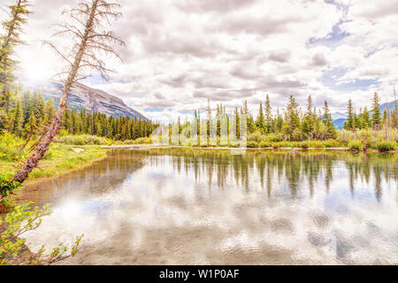 Aube sur Canmore policier Creek sur la rivière Bow dans les Rocheuses de l'Alberta, Canada. Banque D'Images