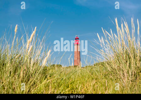 Phare, Fluegge, côte de la mer Baltique, Schleswig-Holstein, Allemagne Banque D'Images