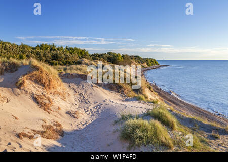 Les falaises et les dunes dans la lumière du soir, près de Dranske, presqu'île de Wittow, Ruegen, côte de la mer Baltique, Mecklembourg-Poméranie-Occidentale, Allemagne du Nord, G Banque D'Images