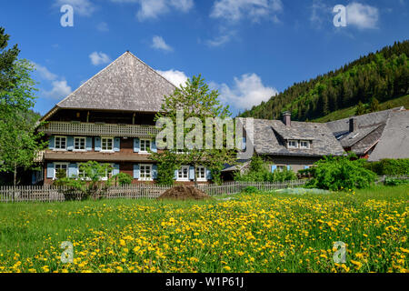 Maisons traditionnelles de la Forêt-Noire à Müllheim, Albsteig, Forêt-Noire, Bade-Wurtemberg, Allemagne Banque D'Images