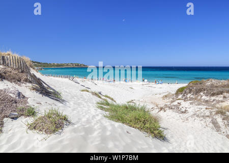 Sur Les Dunes Près De La Plage De Bodri Ile Rousse Corse