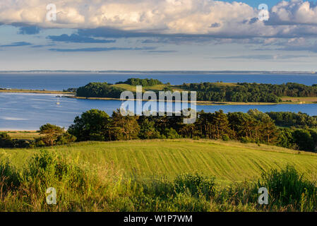 Vue depuis l'Auberville, Moenchgut, Rügen, Ostseeküste, Mecklembourg-Poméranie-Occidentale, Allemagne Banque D'Images