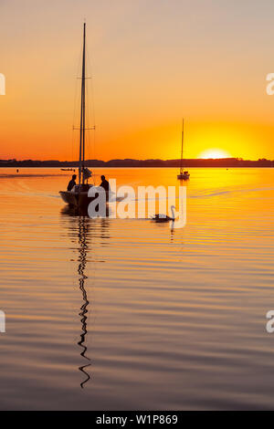 Voiliers et swan dans la dernière lumière du soir au Chiemsee, dans l'arrière-plan les îles à l'horizon Banque D'Images