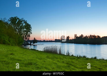 Birtener Altrhein, ancien bras du Rhin, près de Xanten, Bas-rhin, Rhénanie-du-Nordwestphalie, Allemagne Banque D'Images