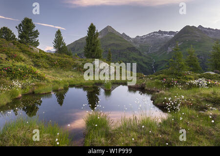 Vue de Hirschbichl au Defereggental, Hutner (2885m), Hohe Tauern, le Tyrol oriental, Tyrol, Autriche Banque D'Images