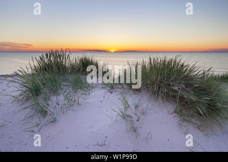 Les falaises et les dunes dans la lumière du soir, près de Dranske, presqu'île de Wittow, Ruegen, côte de la mer Baltique, Mecklembourg-Poméranie-Occidentale, Allemagne du Nord, G Banque D'Images