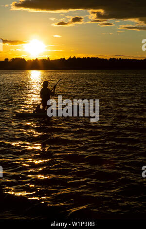 Silhouette d'une femme agenouillée sur paddle board et de l'aviron dans le coucher du soleil. La rivière Ottawa Petawawa (Ontario) Canada. Banque D'Images