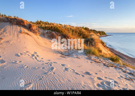 Les falaises et les dunes dans la lumière du soir, près de Dranske, presqu'île de Wittow, Ruegen, côte de la mer Baltique, Mecklembourg-Poméranie-Occidentale, Allemagne du Nord, G Banque D'Images