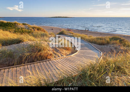 Chemin à travers les dunes de la plage de Tylösand, Halmstad, Halland, sud de la Suède, Suède, Scandinavie, Europe du Nord, Europe Banque D'Images