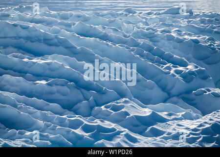 Faits saillants du rétroéclairage de crêtes et de structures plissées d'un icefloe, Wilhelmina Bay, péninsule Antarctique, l'Antarctique Banque D'Images