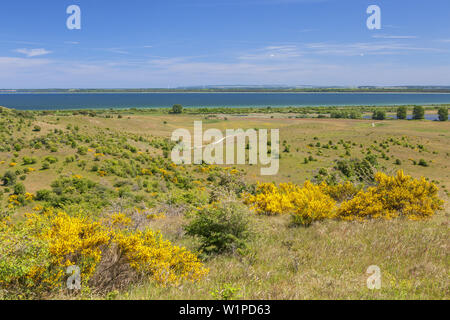 Vue depuis l'Inselblick sur l'Dornbusch près de Kloster, île de Hiddensee, côte de la mer Baltique, Mecklembourg-Poméranie-Occidentale, Allemagne du Nord, l'Allemagne, l'Euro Banque D'Images