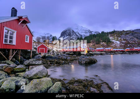 Fisherman's cabins en Nusfjord Nusfjord, au crépuscule, Lofoten, Nordland, Norvège Banque D'Images