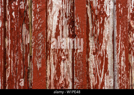 Close up of old weathered planche en bois vertical mur avec la texture de la peinture rouge de déroulage Banque D'Images
