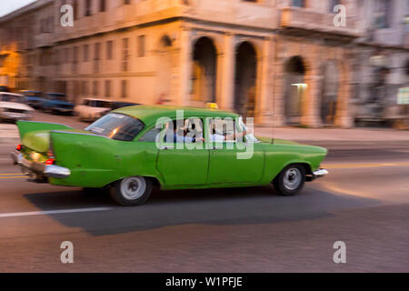 Oldtimer vert, les touristes, conduisant le long du Malecon, taxi, ville historique, centre des congrès, vieille ville, Habana Vieja, Habana Centro, voyage en famille à Cuba, vacances, t Banque D'Images