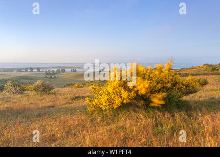 Vue depuis l'Inselblick sur l'Dornbusch près de Kloster, île de Hiddensee, côte de la mer Baltique, Mecklembourg-Poméranie-Occidentale, Allemagne du Nord, l'Allemagne, l'Euro Banque D'Images