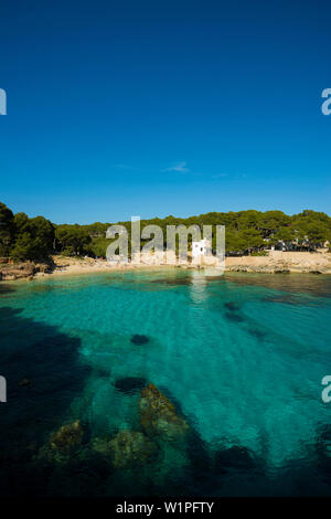 La baie de Cala Gat, Cala Ratjada, Majorque, Iles Baléares, Espagne Banque D'Images