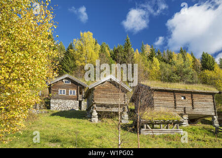 Vieille ferme en Svartdal, télémark, Østlandet, sud de la norvège, Norvège, Scandinavie, Europe du Nord, Europe Banque D'Images