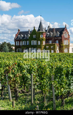 Vignoble dans le Médoc, Bordeaux, Gironde, Aquitaine, France, Europe, Château Lascombes, vignoble en Médoc, Margeaux, Grapevine, Bordeaux, Gironde, Aquita Banque D'Images