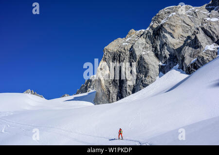 Ski nordique femme vers Reichenspitze Reichenspitze, croissant, Alpes de Zillertal, Tyrol, Autriche Banque D'Images