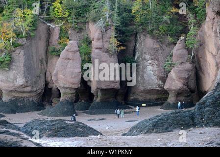 Hopewell Rocks, près de Moncton, Nouveau-Brunswick, Canada Banque D'Images
