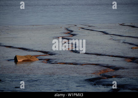 Hopewell Rocks, près de Moncton, Nouveau-Brunswick, Canada Banque D'Images