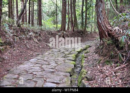 Japon - chemin forestier Nakasendo historique sentier entre Magome et Tsumago. Banque D'Images