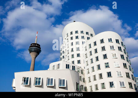 Tour de télévision et Neuer Zollhof (Architecte : F.O. Gehry), Medienhafen, Düsseldorf, Rhénanie du Nord-Westphalie, Allemagne Banque D'Images