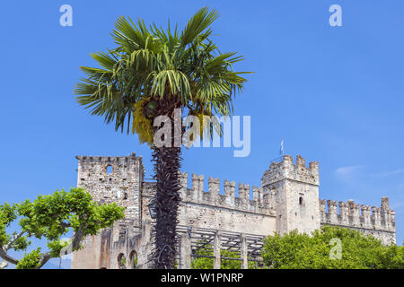 Château Scaliger à Torri del Benaco, par le lac de Garde, dans le Nord de l'Italie les lacs, Veneto, Italie du Nord, Italie, Europe du Sud, Europe Banque D'Images