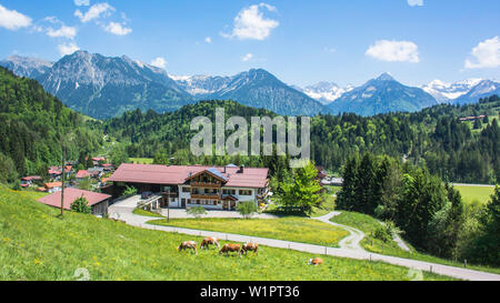 Allemagne, Bavière, Alpes, Oberallgaeu, Oberstdorf, paysage d'été, vacances d'été, vacances, vacances en famille, randonnées, Montagnes, Montagne pano Banque D'Images