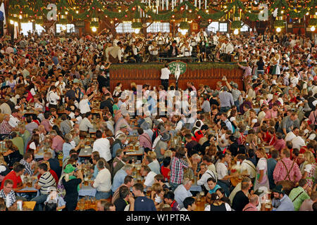 Bière Augustiner Oktoberfest, tente, Munich, Haute-Bavière, Bavière, Allemagne Banque D'Images