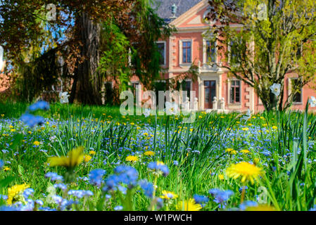 Pré des fleurs en face de Château de Bothmer, Fažana, Ostseeküste, Mecklembourg-Poméranie-Occidentale, Allemagne Banque D'Images