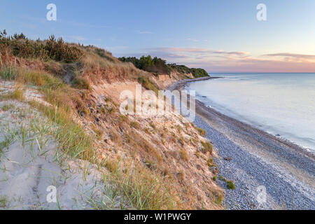 Les falaises et les dunes dans la lumière du soir, près de Dranske, presqu'île de Wittow, Ruegen, côte de la mer Baltique, Mecklembourg-Poméranie-Occidentale, Allemagne du Nord, G Banque D'Images